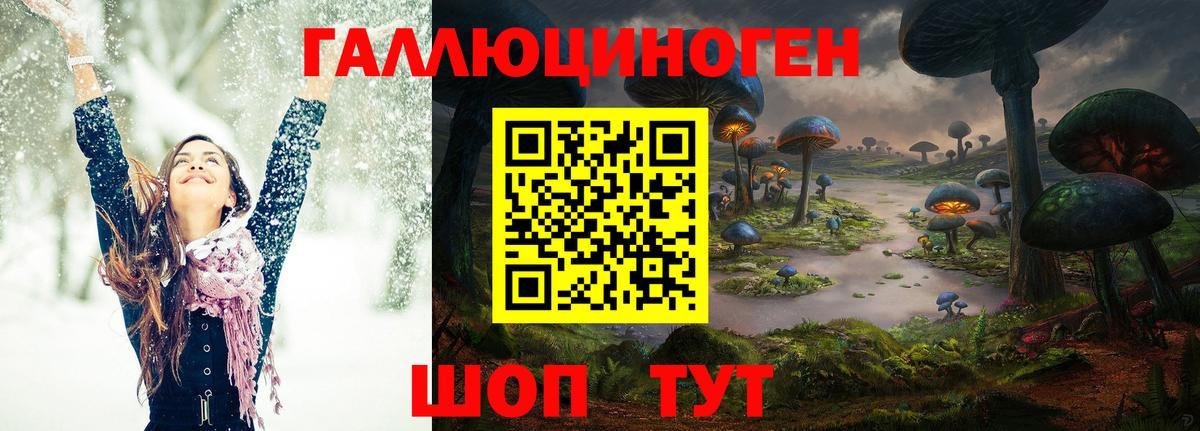 Псилоцибиновые грибы GOLDEN TEACHER Павлово