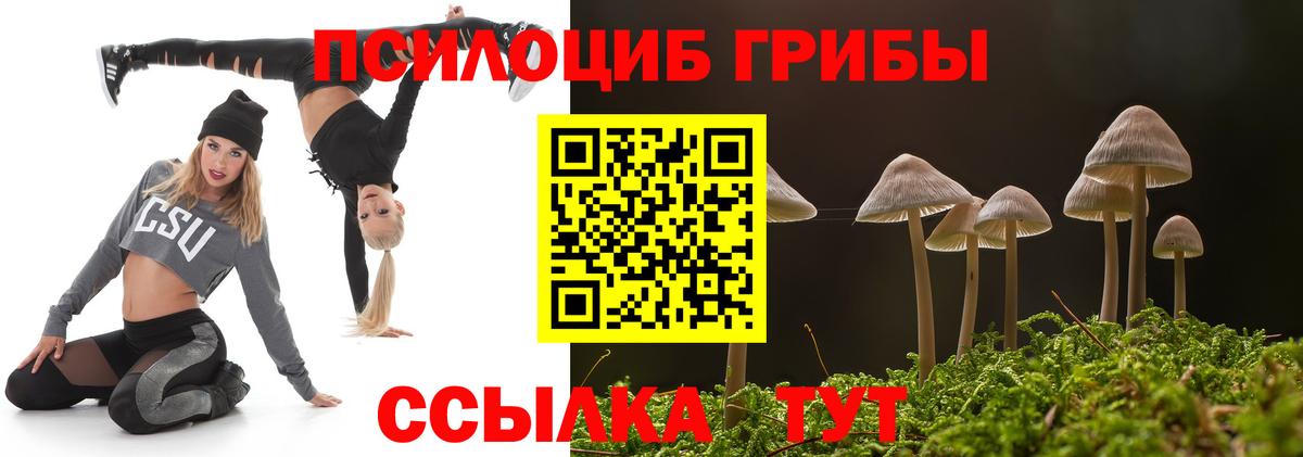 Псилоцибиновые грибы Magic Shrooms  Вход с VPN  Павлово 